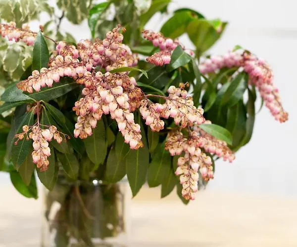 Lejlighed Unamuno By Living Bilbao