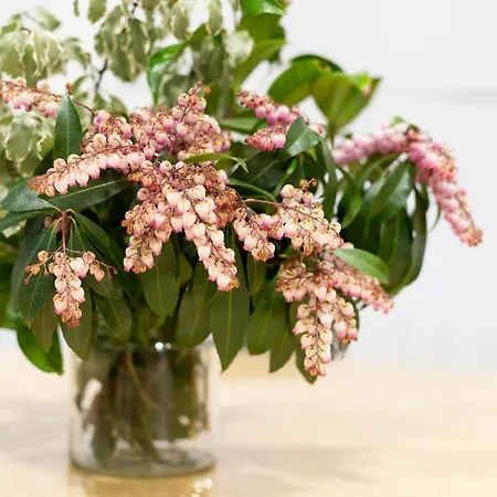 Lägenhet Unamuno By Living Bilbao